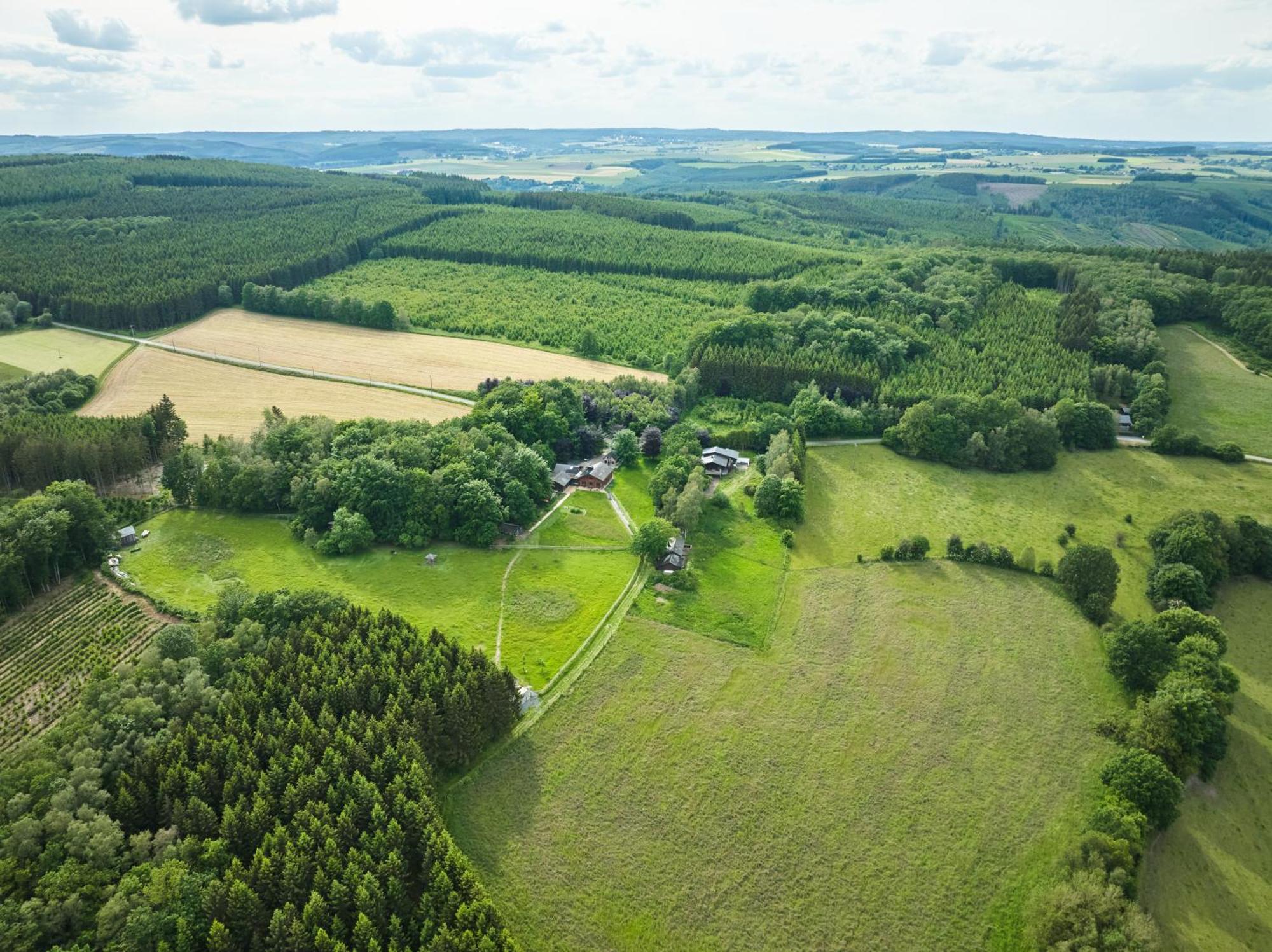 Chalet Le Tilleul Bertogne Kültér fotó